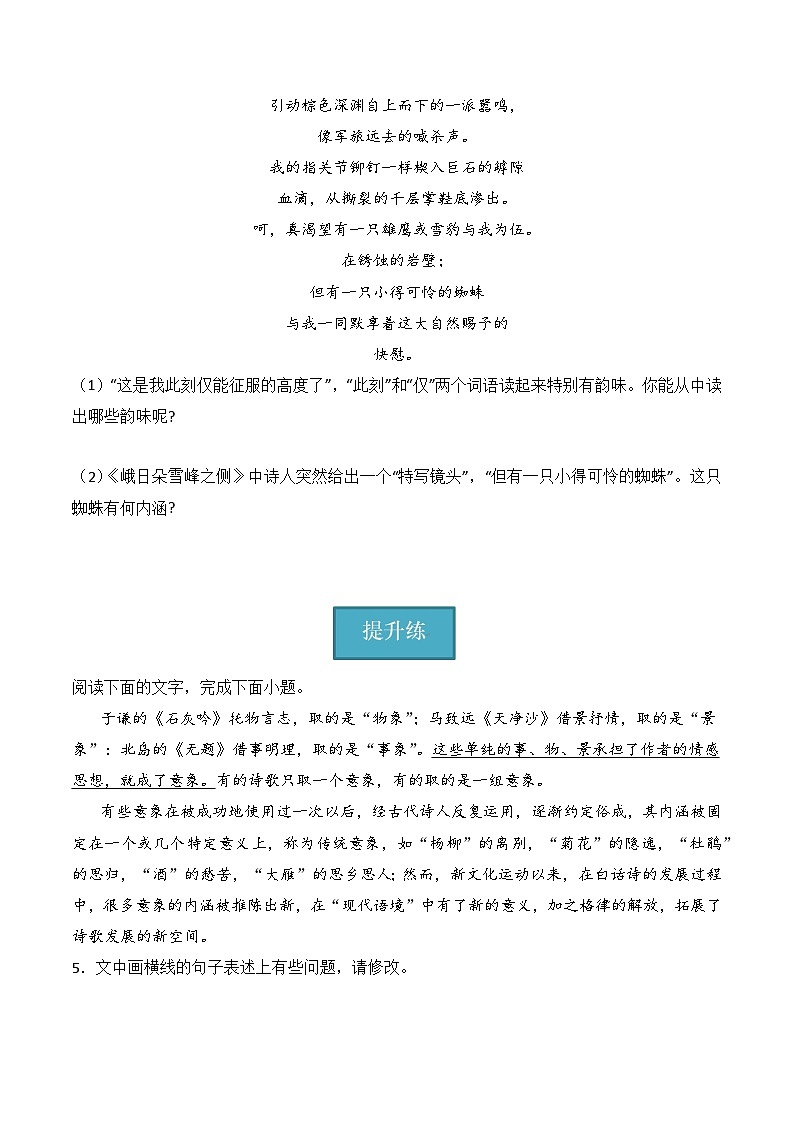 2.3《峨日朵雪峰之侧》(分层练习)-2023-2024学年高一语文同步精品备课(分层练习+精美课件)(统编版必修上册)02