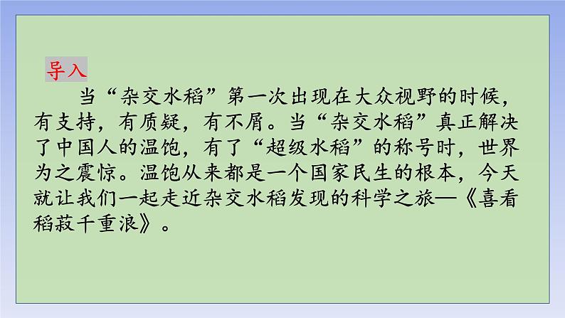 4.1《喜看稻菽千重浪》(精美课件)-2023-2024学年高一语文同步精品备课(分层练习+精美课件)(统编版必修上册)01