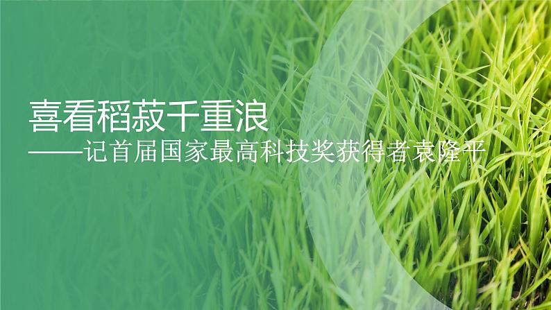 4.1《喜看稻菽千重浪》(精美课件)-2023-2024学年高一语文同步精品备课(分层练习+精美课件)(统编版必修上册)02