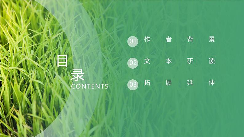 4.1《喜看稻菽千重浪》(精美课件)-2023-2024学年高一语文同步精品备课(分层练习+精美课件)(统编版必修上册)04