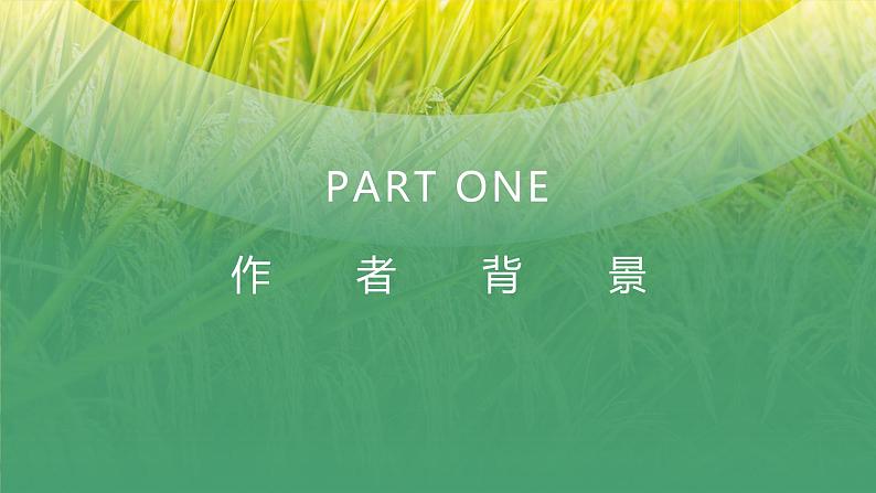 4.1《喜看稻菽千重浪》(精美课件)-2023-2024学年高一语文同步精品备课(分层练习+精美课件)(统编版必修上册)05
