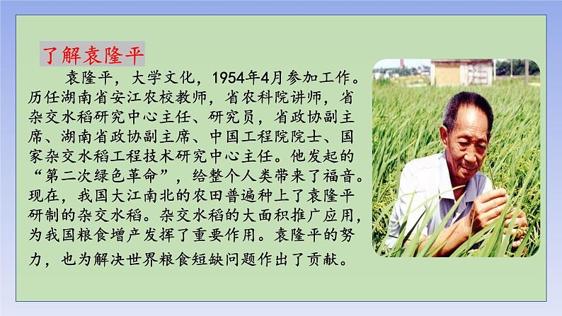 4.1《喜看稻菽千重浪》(精美课件)-2023-2024学年高一语文同步精品备课(分层练习+精美课件)(统编版必修上册)07