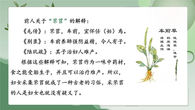 6.1《芣苢》(精美课件)-2023-2024学年高一语文同步精品备课(分层练习+精美课件)(统编版必修上册)05