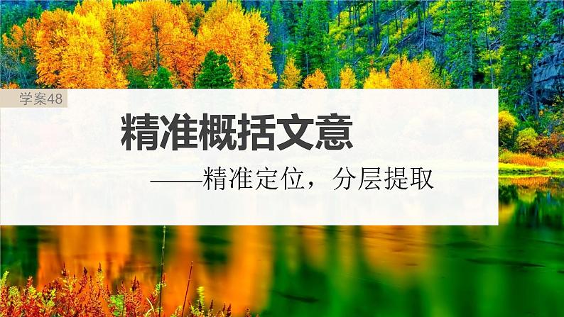高考语文一轮复习-- 精准概括文意——精准定位,分层提取课件PPT02