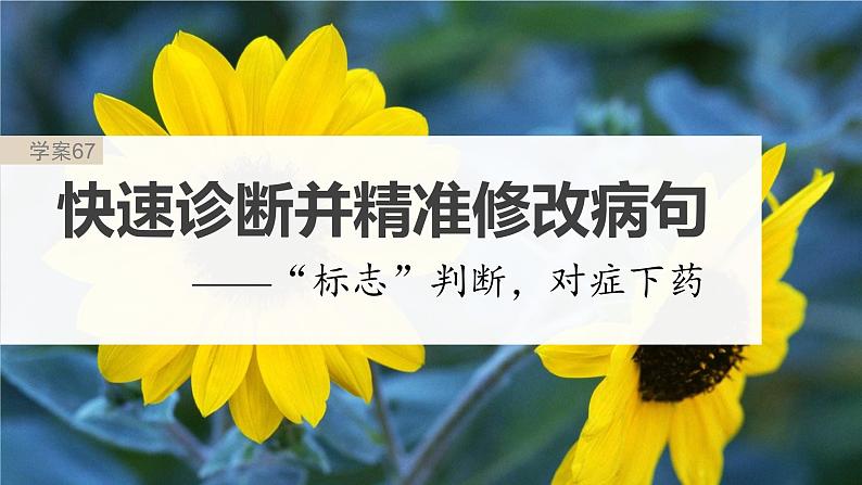 高考语文一轮复习-- 快速诊断并精准修改病句——“标志”判断,对症下药课件PPT第2页