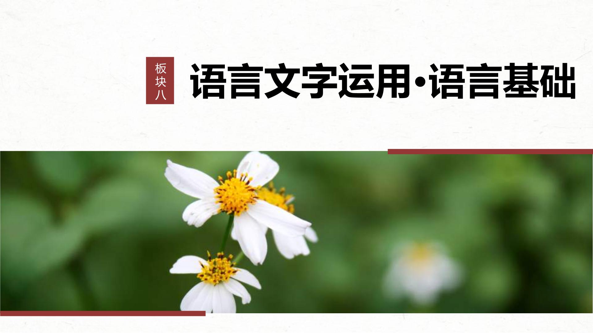 高考语文一轮复习课时练精品课件板块8 第1部分 语言基础 课时62　正确使用成语(一)（含解析）