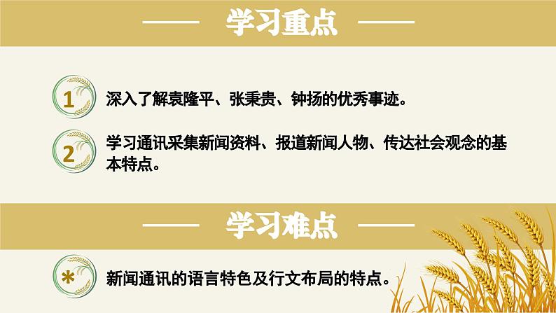 高中语文部编版必修上册课件《喜看稻菽千重浪——记首届国家最高科技奖获得者袁隆平》《心有一团火,温暖众人心》《”探界者“钟杨》第3页