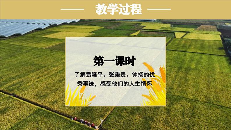 高中语文部编版必修上册课件《喜看稻菽千重浪——记首届国家最高科技奖获得者袁隆平》《心有一团火,温暖众人心》《”探界者“钟杨》第5页
