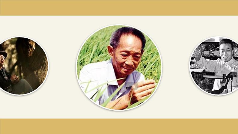 高中语文部编版必修上册课件《喜看稻菽千重浪——记首届国家最高科技奖获得者袁隆平》《心有一团火,温暖众人心》《”探界者“钟杨》第6页