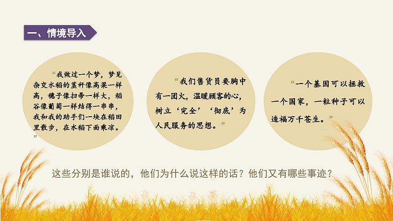 高中语文部编版必修上册课件《喜看稻菽千重浪——记首届国家最高科技奖获得者袁隆平》《心有一团火,温暖众人心》《”探界者“钟杨》第7页