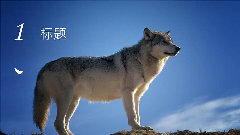 2024届高考语文复习:议论文写作-基本结构与论证方式 课件第5页