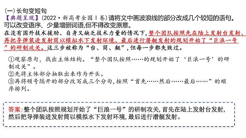 2024届高考语文复习:变换句式 课件第4页