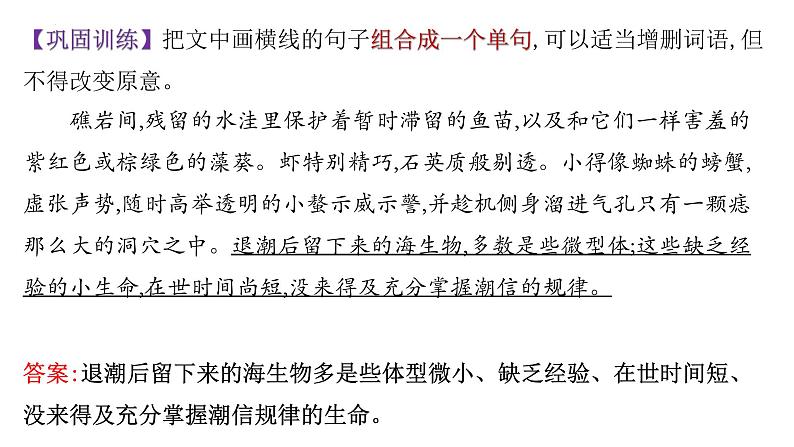 2024届高考语文复习:变换句式 课件第7页