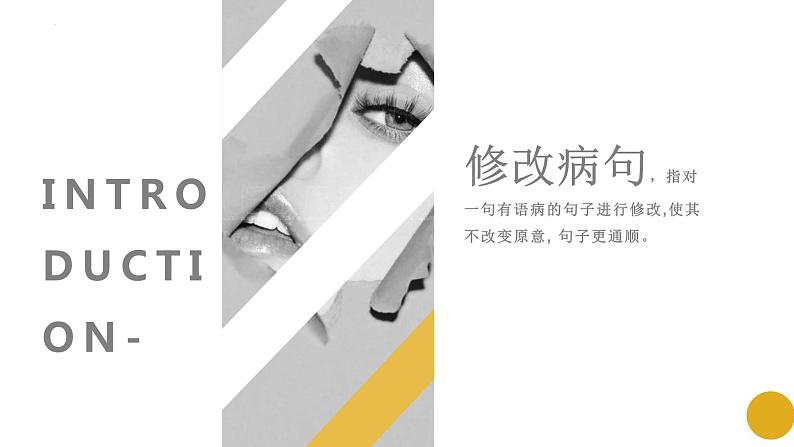 2024届高考语文复习:辨析并修改病句 课件第2页