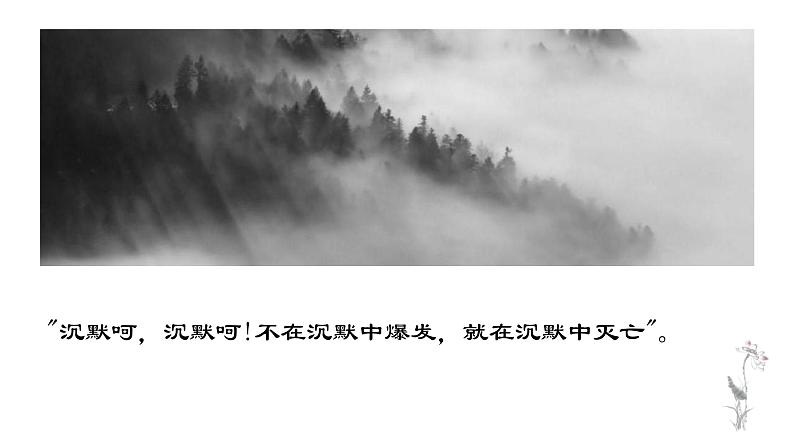 《纪念刘和珍君》教学ppt第2页