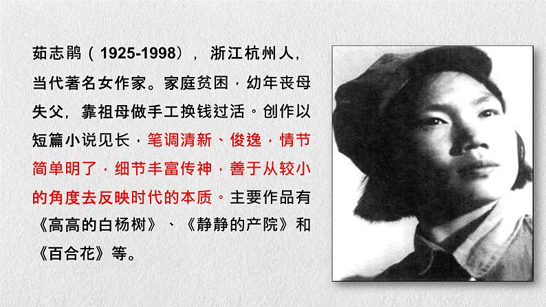 3-1《百合花》课件 2023-2024学年统编版高中语文必修上册第5页