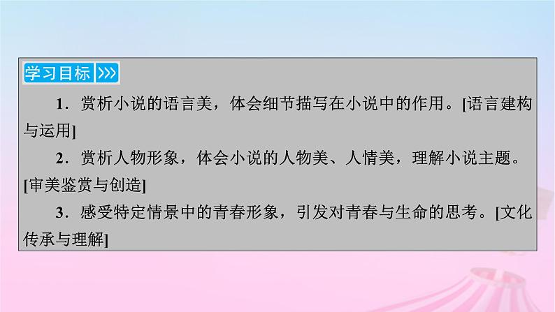 新教材适用2023_2024学年高中语文第1单元3.1百合花课件部编版必修上册第3页