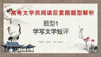 2024届高考语文复习:学写文学短评 课件