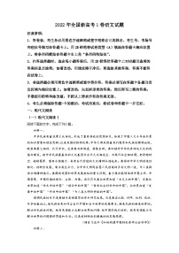 2022年全国新高考1卷语文试题（解析版）