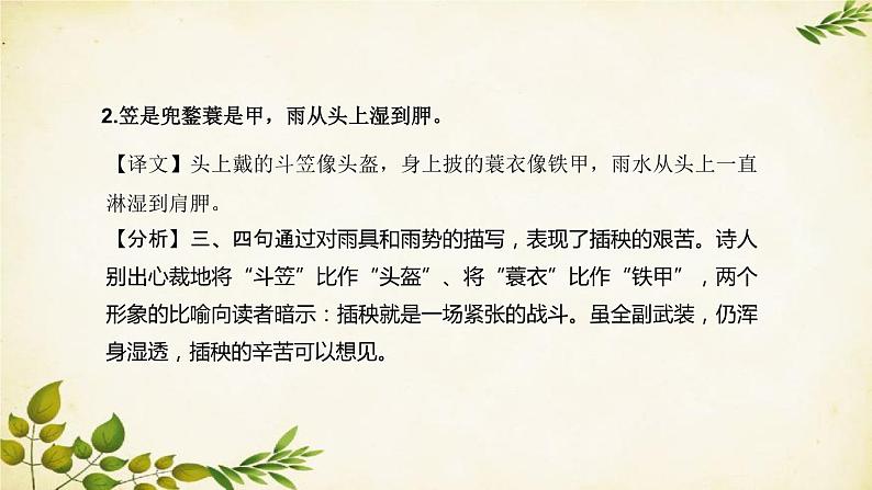 统编版高中语文必修上册 第二单元 第六课 插秧歌课件第8页