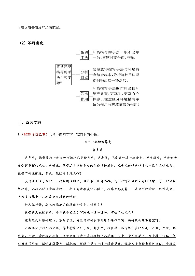 2024年高考语文一轮复习之小说文本考题探究(全国通用)11 环境类题(环境描写手法) Word版含解析第2页