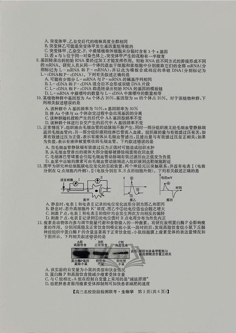 2024届“耀正优+”12月高三名校阶段检测联考生物学第3页