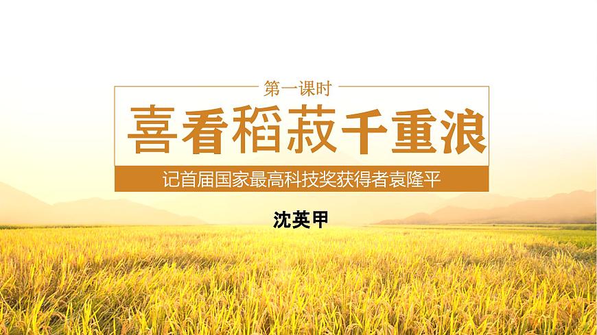 4.1《喜看稻菽千重浪》PPT課件第3頁