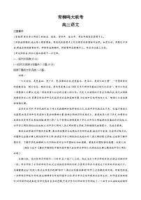 河南省青桐鸣大联考2023-2024学年高三上学期12月月考语文试题(Word版附解析)