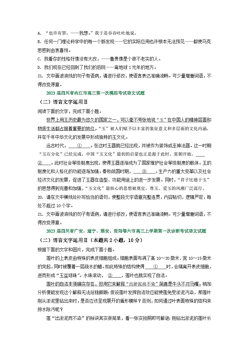 2023年四川省部分地区高三一模语文试卷分类汇编:衔接连贯、压缩语段及其他第2页
