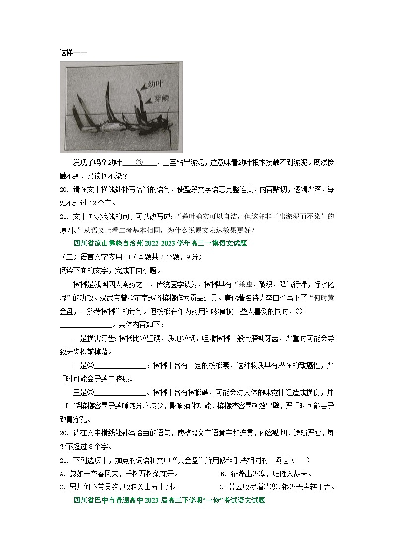 2023年四川省部分地区高三一模语文试卷分类汇编:衔接连贯、压缩语段及其他第3页