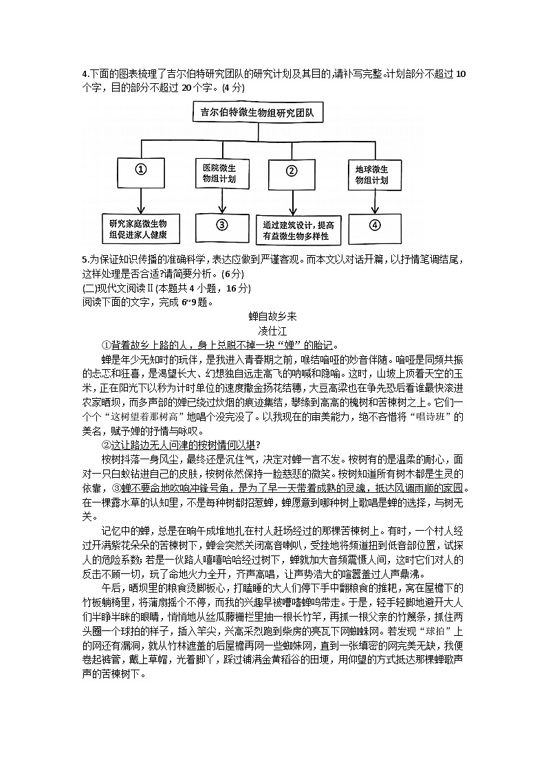 2024湖北省宜荆荆随恩高三上学期1月联考试题语文无答案03