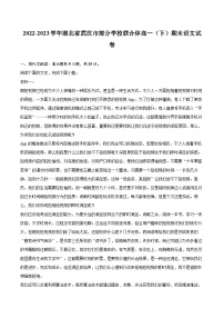 2022-2023学年湖北省武汉市部分学校联合体高一（下）期末语文试卷（含详细答案解析）