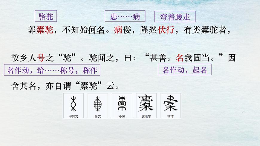 11選必下第三單元_種樹郭橐駝傳（一）-課件第8頁