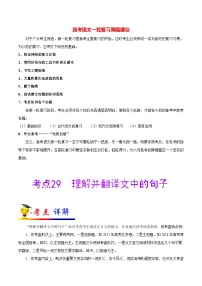 最新高考语文考点一遍过（讲义） 考点29 理解并翻译文中的句子