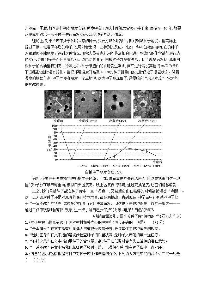 备战2025届新高考语文一轮总复习复习任务群1信息类文本阅读练案1内容的理解分析(附解析)第2页