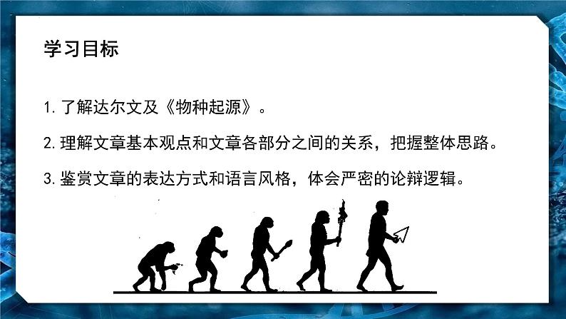 13-1《自然选择的证明》(教学课件)(统编版 选择性必修下册)02