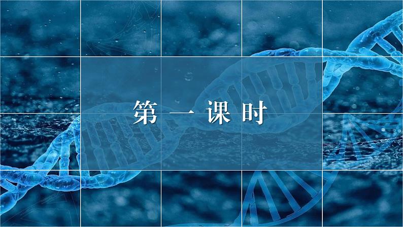13-1《自然选择的证明》(教学课件)(统编版 选择性必修下册)03