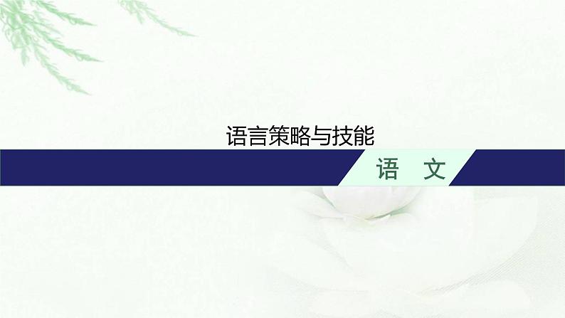 新教材高考语文二轮复习语言策略与技能课件第1页