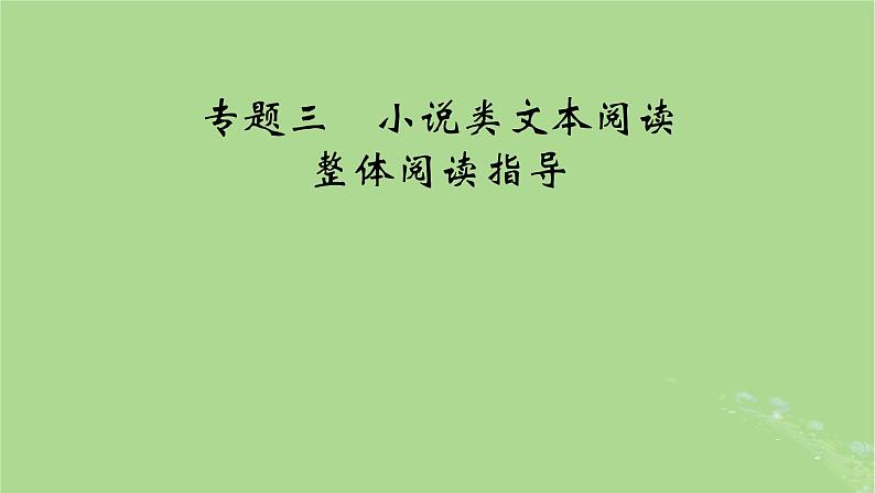 2025版高考语文一轮总复习复习任务群2文学性阅读专题3小说类文本阅读整体阅读指导课件第6页