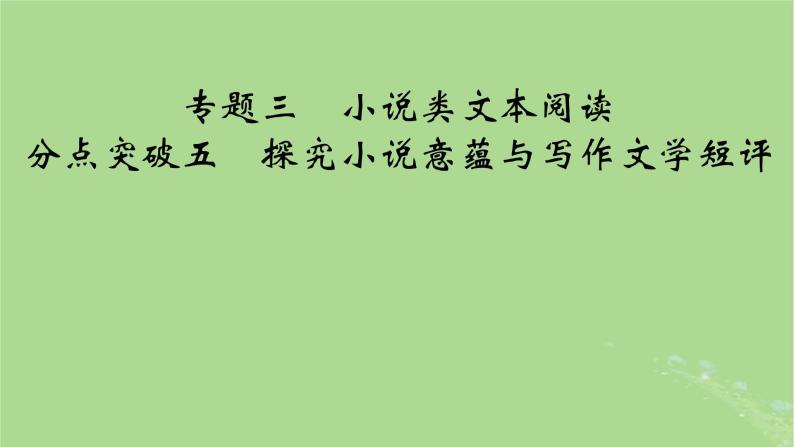 2025版高考语文一轮总复习复习任务群2文学性阅读专题3小说类文本阅读分点突破5探究小说意蕴与写作文学短评课件01