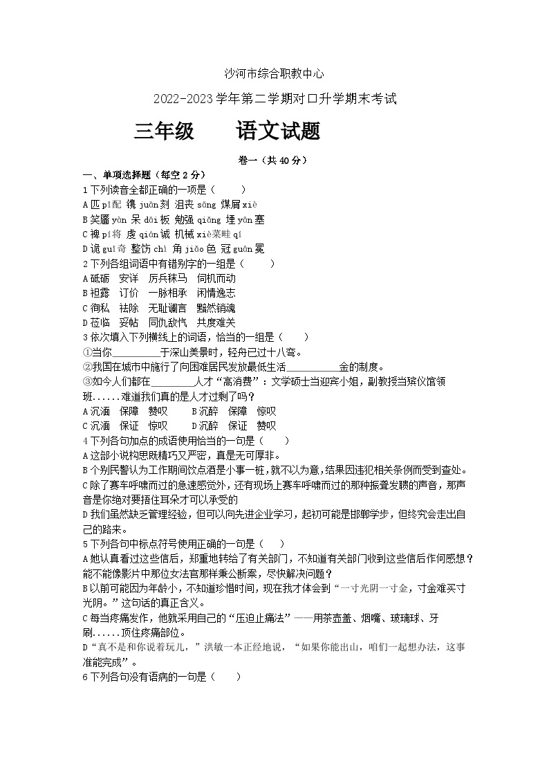 河北省沙河市综合职教中心2022-2023学年第二学期期末高三语文试题