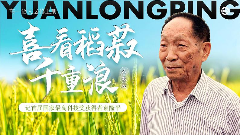 人教版高中语文必修上2.1.1《喜看稻菽千重浪 记首届国家最高科技奖获得者袁隆平》课件(教案)第4页