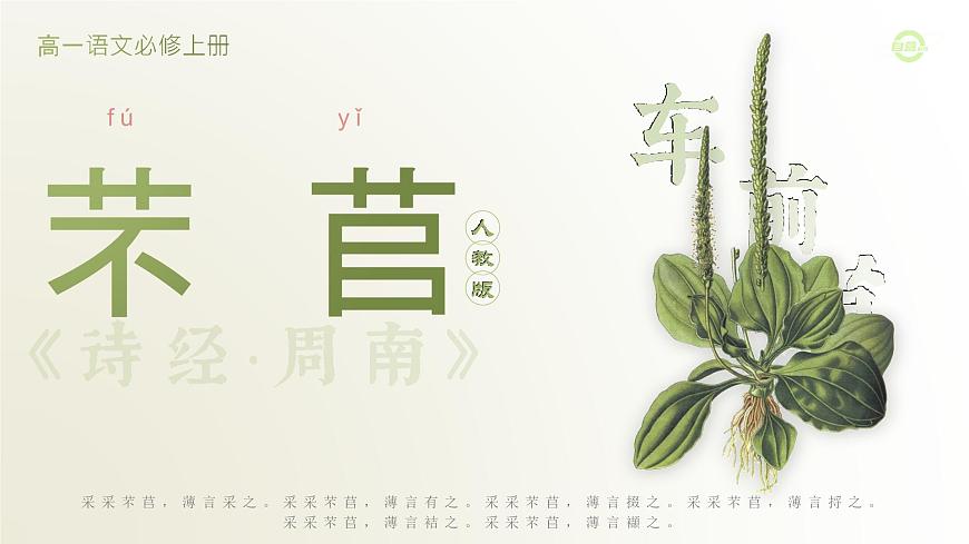 人教版高中語文必修上2.3.1《芣苢·詩經(jīng)》課件（教案）第4頁