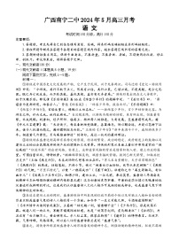 广西南宁二中2024年5月高三月考语文试题（有答案）