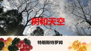高中语文人教统编版选择性必修 中册13.4 *树和天空授课ppt课件