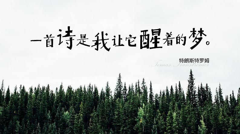 人教版高中语文选择性必修中册4.2.4《树和天空》课件(教案)01