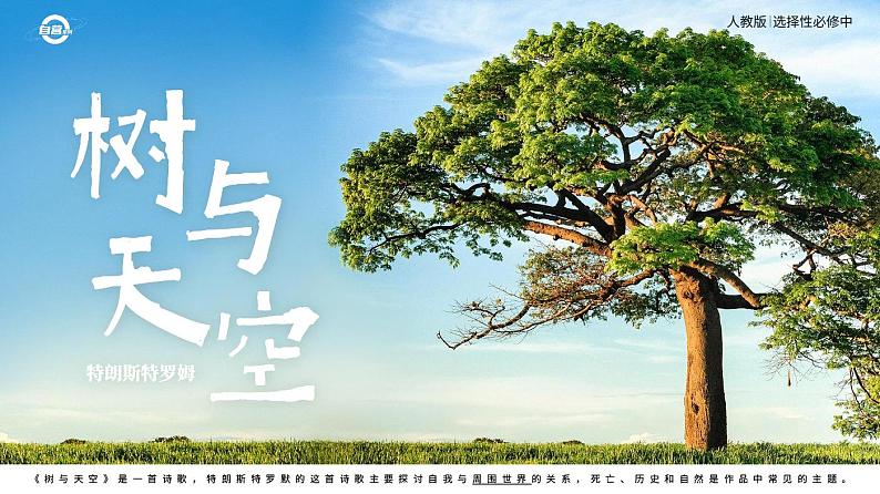 人教版高中语文选择性必修中册4.2.4《树和天空》课件(教案)02