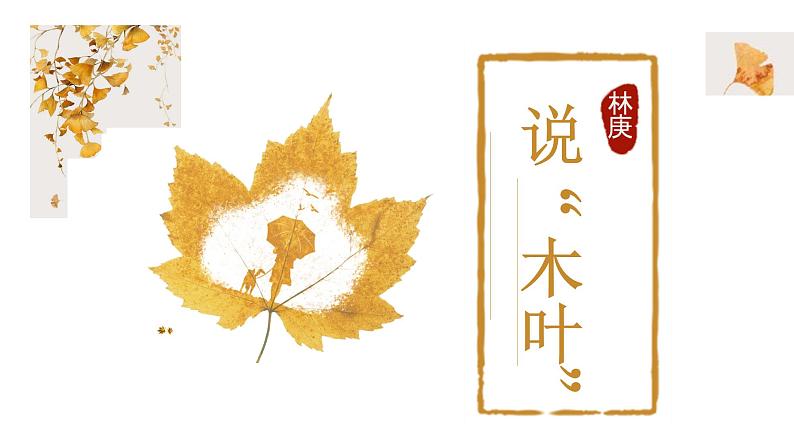 《说“木叶”》 课件17第3页