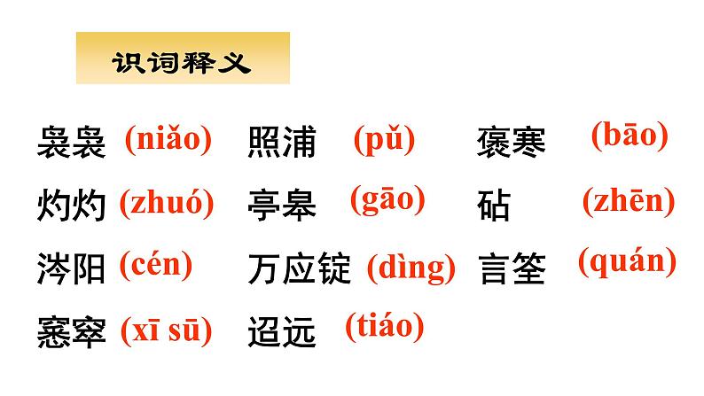 《说“木叶”》 课件17第8页