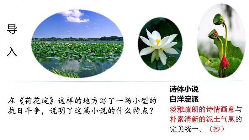 《荷花淀》课件7第1页